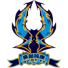 Hangzhou Linping Wuyue logo
