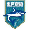 Chongqing Chunlei logo
