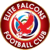 Elite Falcons FC logo