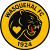 ES Wasquehal logo