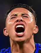 Joao Josimar Rojas Lopez