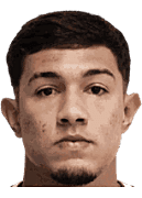 Vitor Hugo da Silva Goncalves