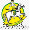 ASFA-Yennega