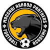 Ashdod Panthers (W)